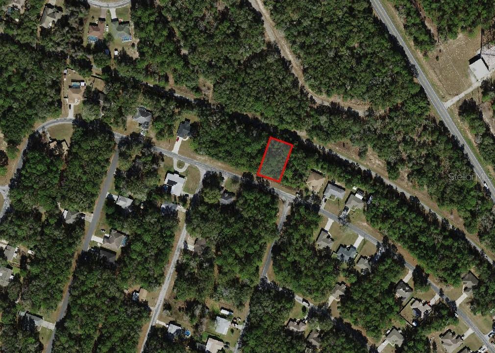 An aerial view shows a rectangular, wooded vacant lot outlined in red along a road — 9875 N SANDREE DRIVE, CITRUS SPRINGS, FL