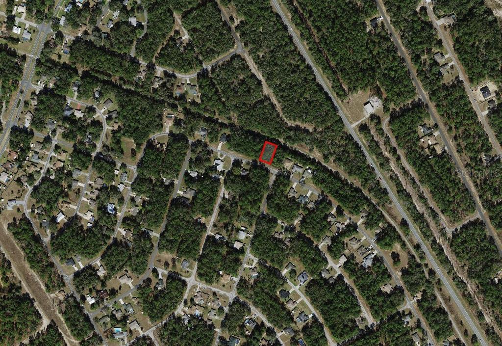 An aerial map view shows a rectangular property lot highlighted in red within a neighborhood — 9875 N SANDREE DRIVE, CITRUS SPRINGS, FL