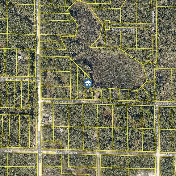 This is an aerial map showing residential property lots and streets in a wooded area — LOT 37 SOAP STONE STREET, WEBSTER, FL