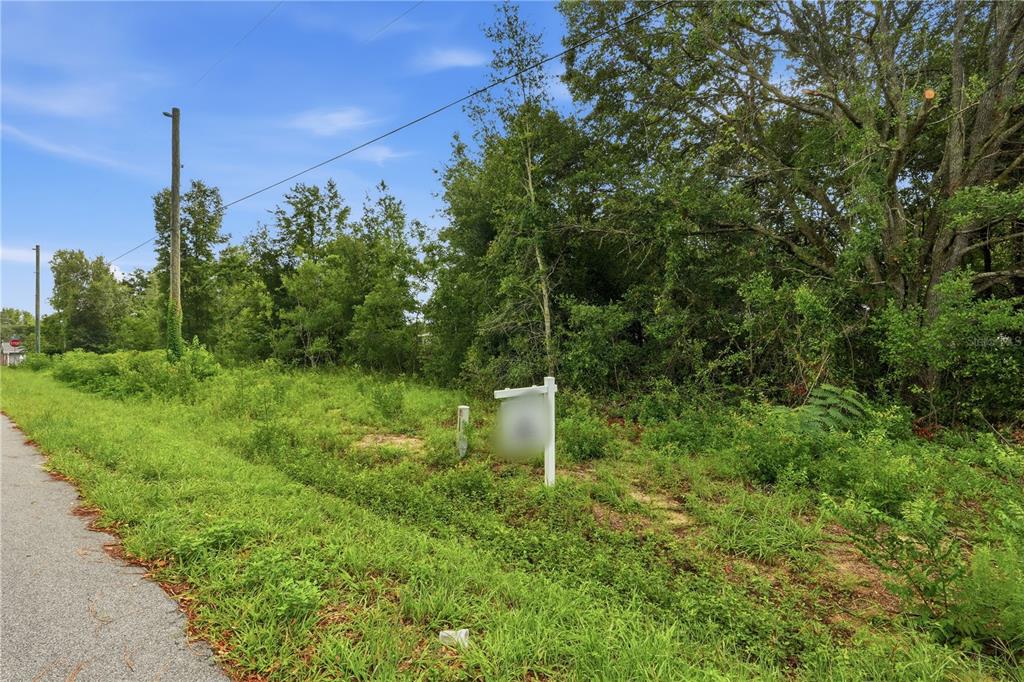 A vacant, overgrown lot with a real estate sign sits beside a paved road — NW 59 COURT, OCALA, FL