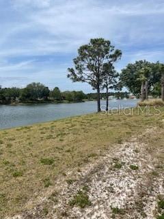 A grassy lot slopes down toward a lake with trees in the background — 699 MAHOGANY RUN, PALM COAST, FL