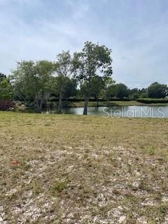 A grassy lot overlooks a small pond surrounded by trees under a blue sky — 699 MAHOGANY RUN, PALM COAST, FL