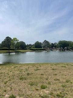 A grassy field leads to a pond surrounded by trees under a blue sky — 699 MAHOGANY RUN, PALM COAST, FL
