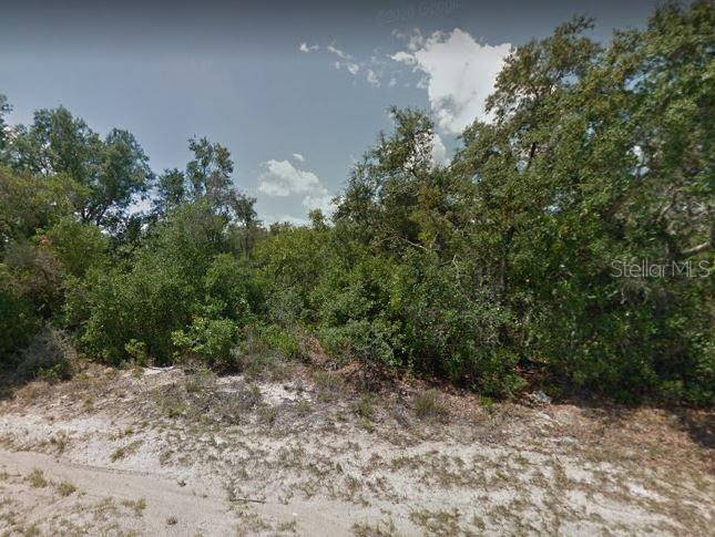 A view of a vacant, wooded lot with sandy ground and dense green trees — 118 WARMOUTH LANE, POINCIANA, FL