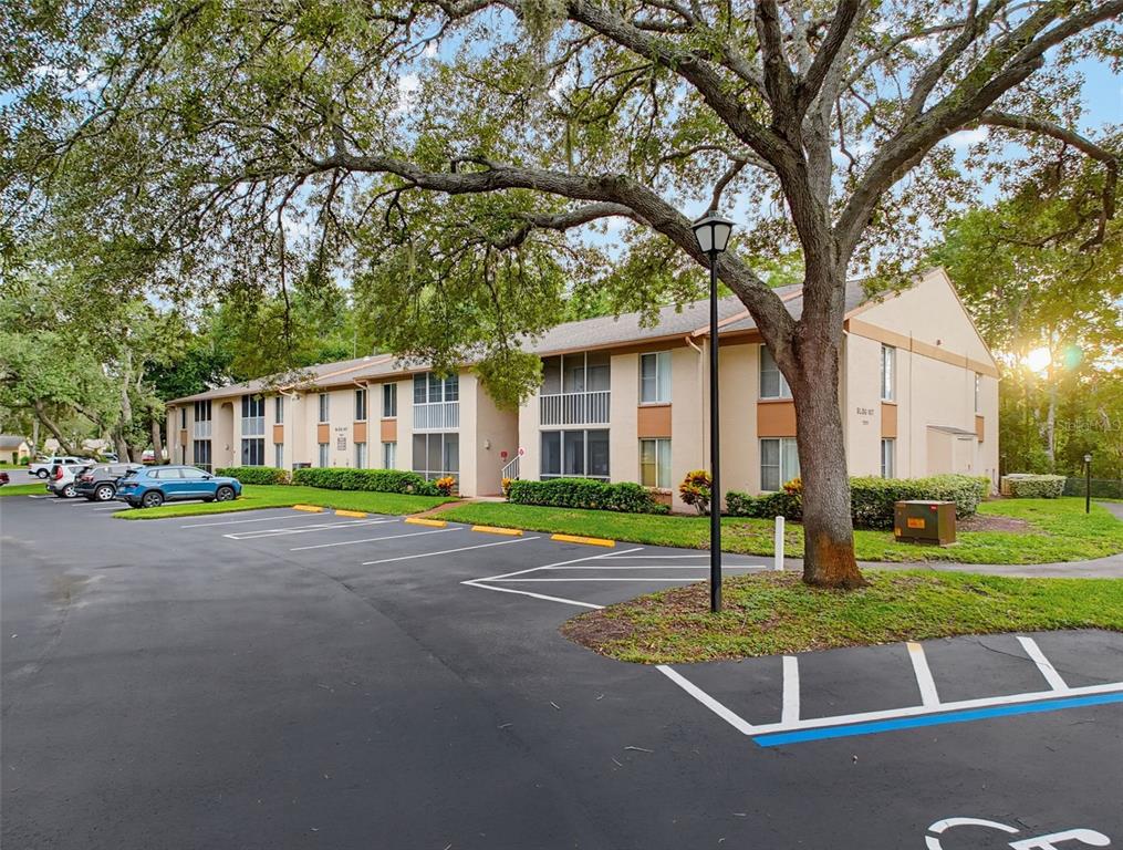 A two-story apartment building with a parking lot and large oak trees in the foreground — 12211 FOX CHASE DRIVE UNIT C1, HUDSON, FL