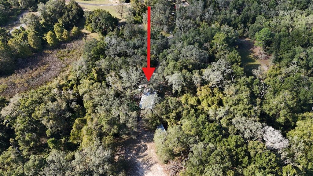 8735 CR 631A, BUSHNELL, FL — photo 2 of 17