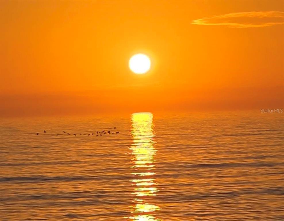 A bright sun sets over a calm ocean with a flock of birds flying nearby — 908 VILLAS DRIVE UNIT 31, VENICE, FL