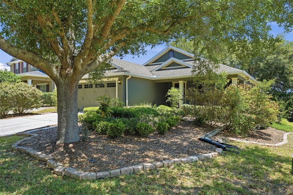 A single-story house with a two-car garage, large tree, and landscaped front yard — 20831 SULLIVAN RANCH BOULEVARD, MOUNT DORA, FL