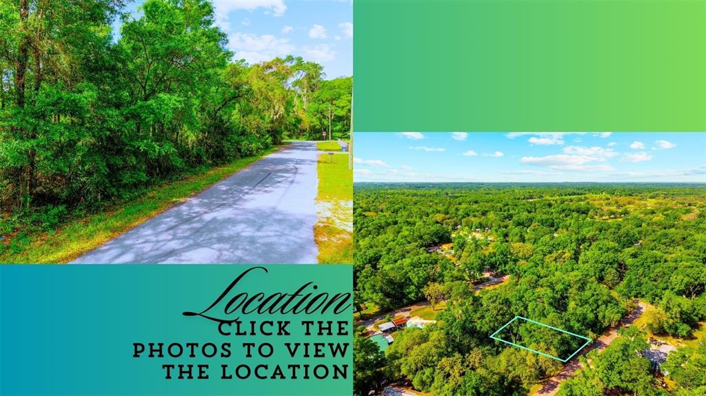 This image shows a street view and an aerial view of a wooded land parcel — Lot 11 NW 20TH STREET, OCALA, FL