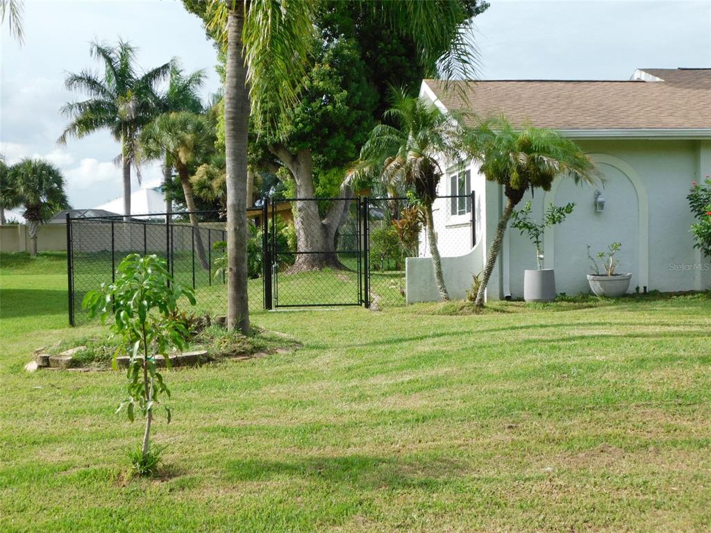 A grassy backyard features a black chain-link fence, palm trees, and a white house exterior — 8750 SW LIVERPOOL ROAD, ARCADIA, FL