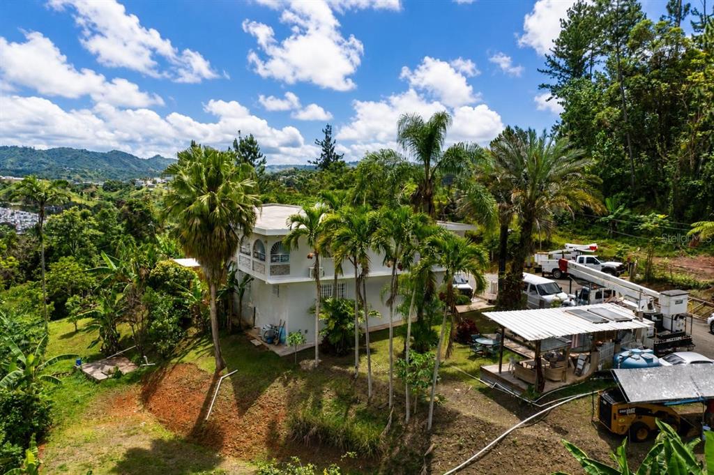 An elevated view of a white two-story house surrounded by palm trees and lush greenery — Carr 156 KM 1.0 BO SABANA SECTOR PUEBLITO, OROCOVIS, PR