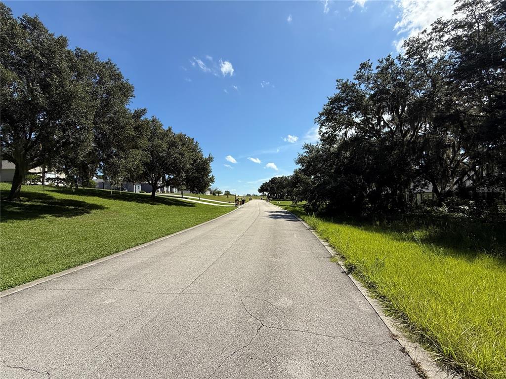 Lot 98 BEAR DEN DRIVE, EUSTIS, FL — photo 4 of 7