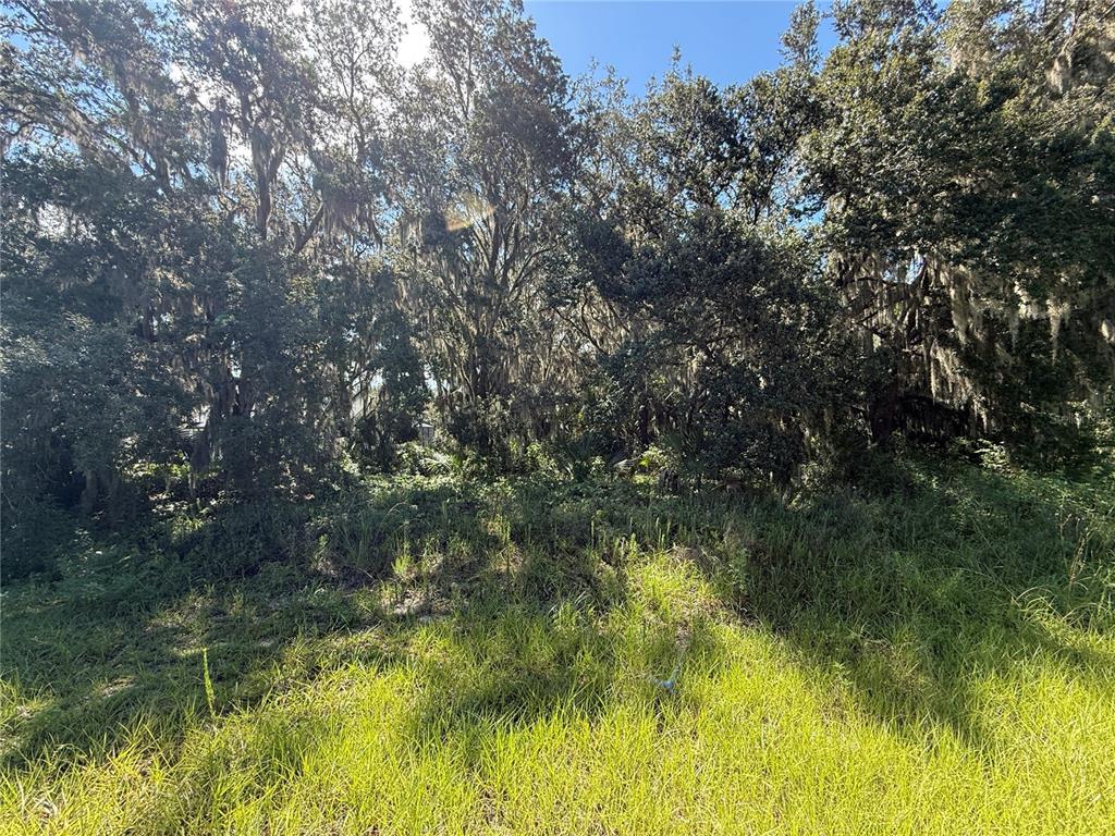 Lot 98 BEAR DEN DRIVE, EUSTIS, FL — photo 5 of 7