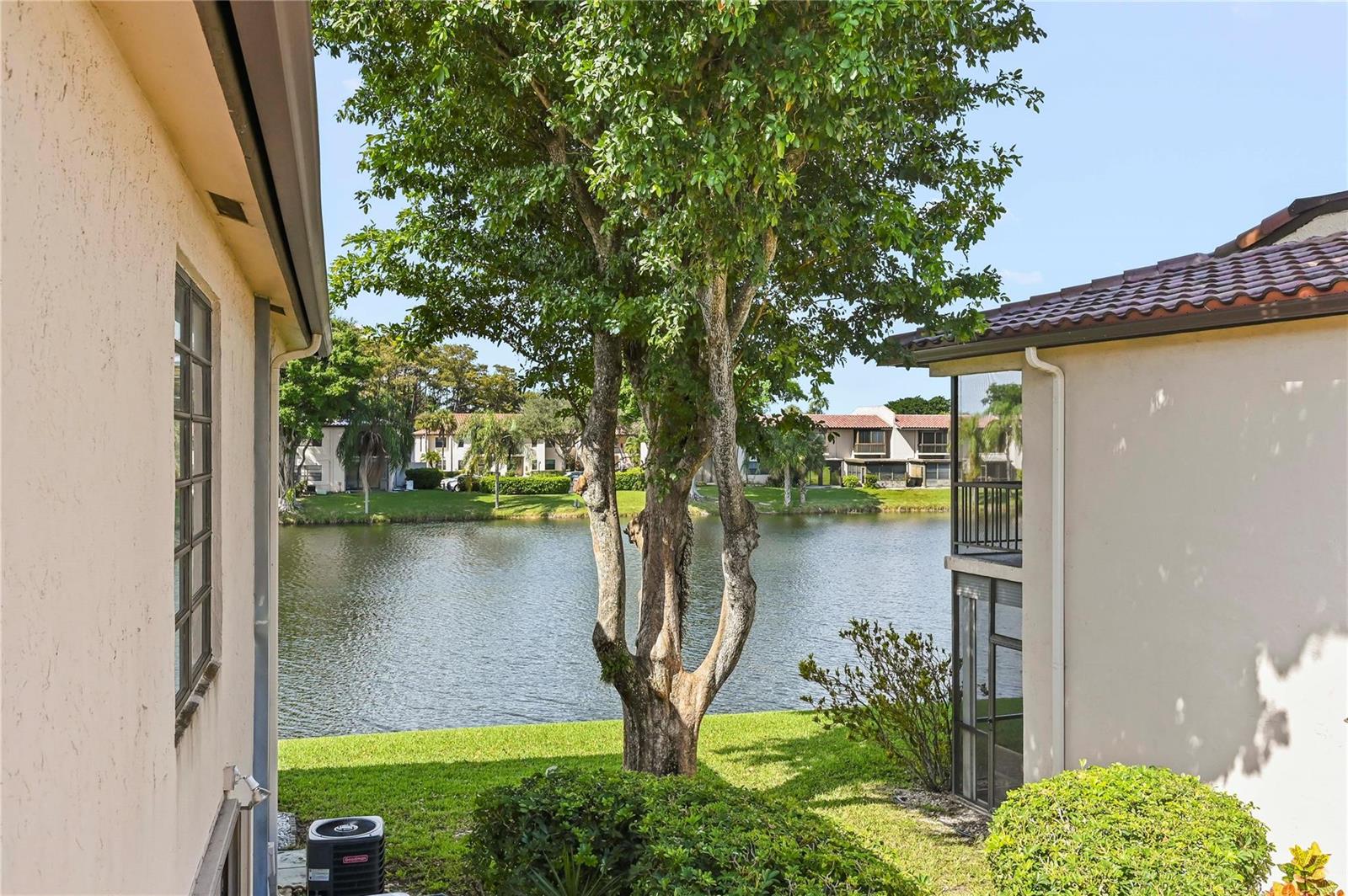 A view of a lake between two residential buildings with a large tree in the center — 21649 Juego Circle, Boca Raton FL 33433, BOCA RATON, FL