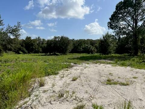 A dirt path leads through a grassy field toward a line of trees under a sky — 15134 NW 306th Street, Okeechobee FL 34972, OKEECHOBEE, FL