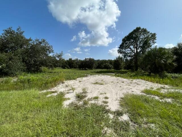 A grassy, sandy lot with scattered trees under a blue sky with white clouds — 15134 NW 306th Street, Okeechobee FL 34972, OKEECHOBEE, FL