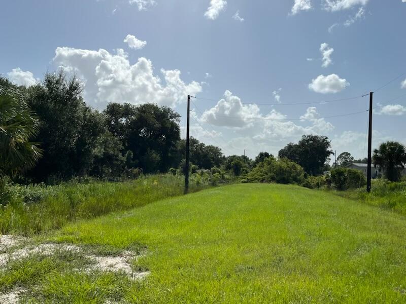 A grassy, open lot features two utility poles and surrounding trees under a blue sky — 15134 NW 306th Street, Okeechobee FL 34972, OKEECHOBEE, FL