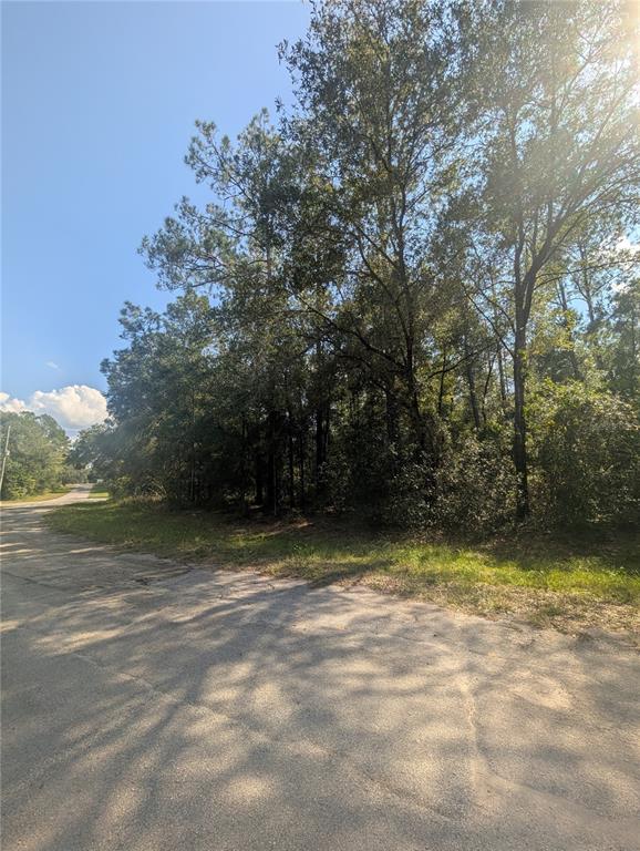 A paved road leads to a wooded, undeveloped lot with tall trees under a blue sky — 10484 N HOLCOMB DRIVE, CITRUS SPRINGS, FL