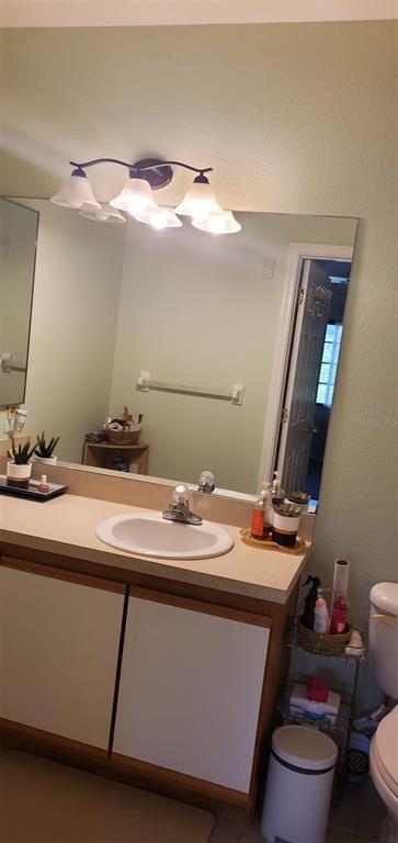 A bathroom vanity features a white sink, a large mirror, and a three-light fixture — 9517 AMBERDALE COURT UNIT 202, RIVERVIEW, FL