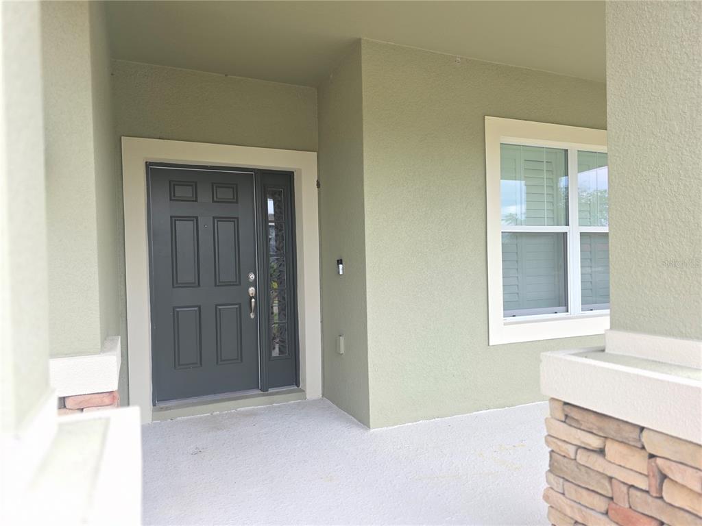 A covered entryway features a dark gray front door with a sidelight and a window — 17545 BUCKINGHAM GARDEN DRIVE, LITHIA, FL