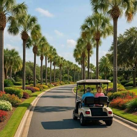 A couple rides in a golf cart down a paved road lined with palm trees — 1370 SE 20TH TERRACE, SUMTERVILLE, FL