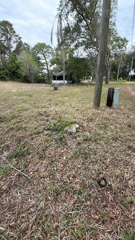 A grassy, undeveloped lot features a utility pole, a small tree, and a distant house — 1370 SE 20TH TERRACE, SUMTERVILLE, FL