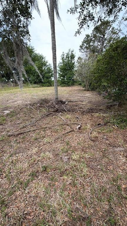 A tall palm tree stands in a grassy, wooded lot with scattered fallen branches — 1370 SE 20TH TERRACE, SUMTERVILLE, FL