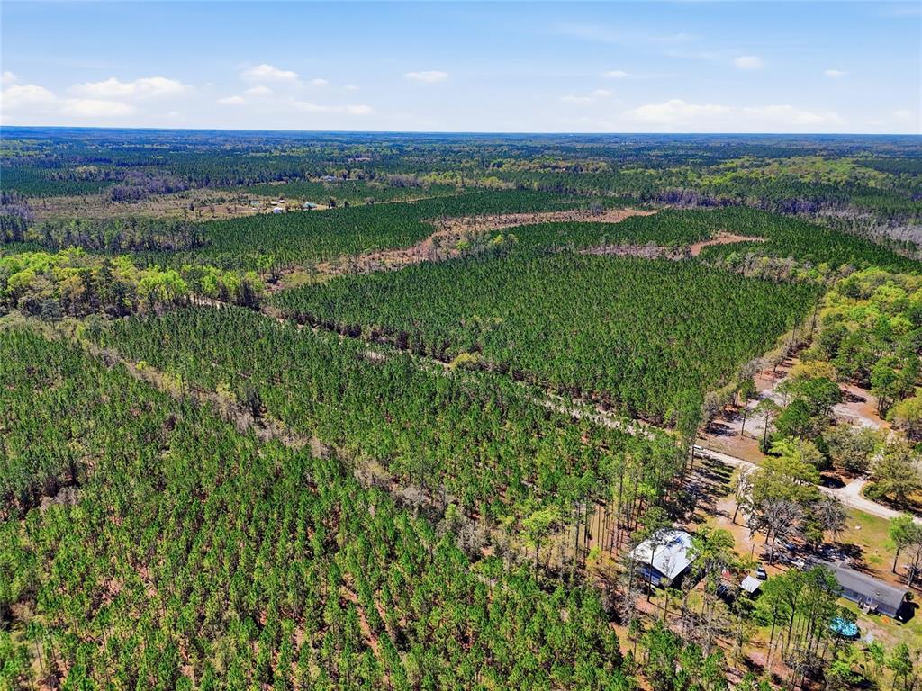An aerial view shows a large expanse of pine forest with a house nearby — TBD SE POUNDS HAMMOCK ROAD, LAKE CITY, FL