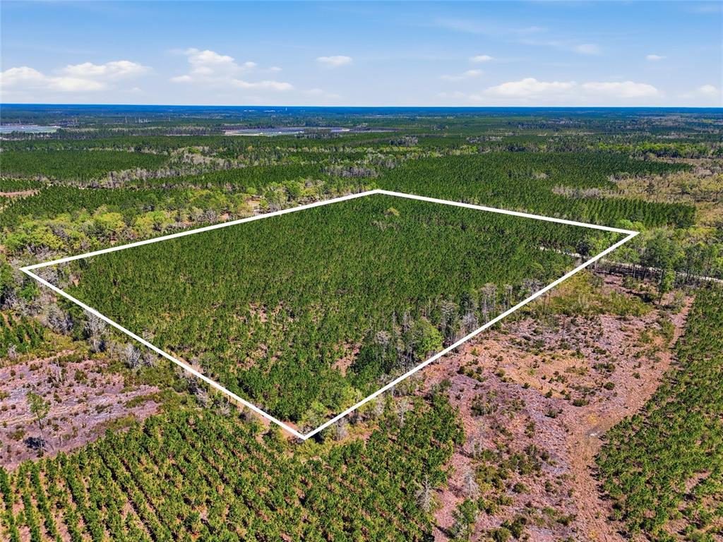 An aerial view shows a rectangular plot of land outlined in white amidst forested terrain — TBD SE POUNDS HAMMOCK ROAD, LAKE CITY, FL