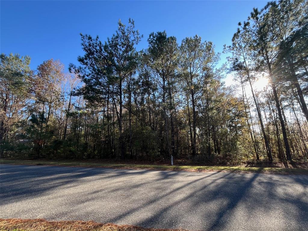 TBD NW 148 LANE, WILLISTON, FL — photo 2 of 10