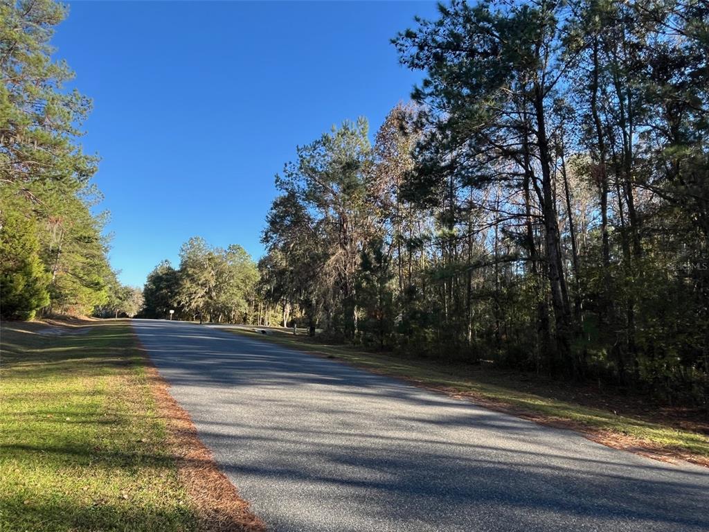 TBD NW 148 LANE, WILLISTON, FL — photo 3 of 10