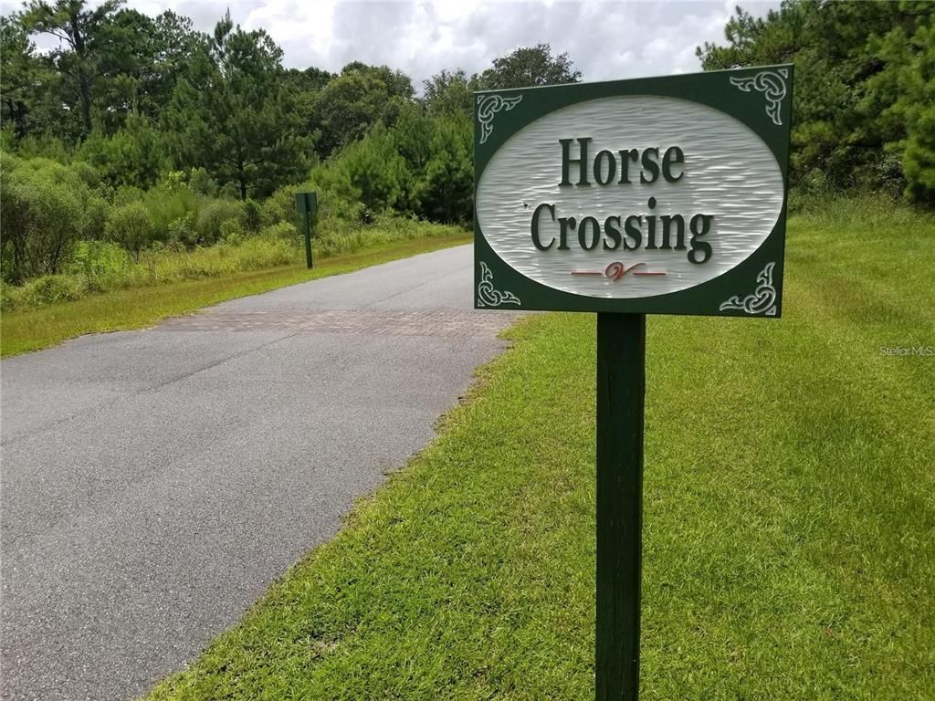 TBD NW 148 LANE, WILLISTON, FL — photo 4 of 10