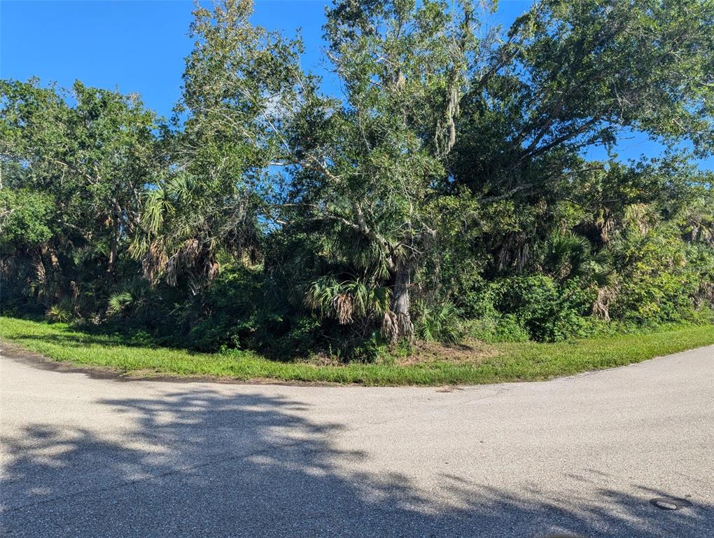 A paved road curves in front of a densely wooded lot with various trees and palms — 16506 MCLAURY AVENUE, PORT CHARLOTTE, FL