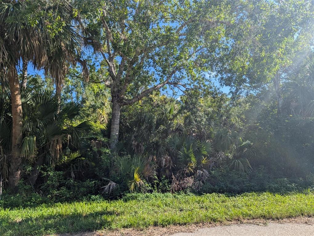 A dense, wooded lot features various trees and palmettos bordering a paved road — 16506 MCLAURY AVENUE, PORT CHARLOTTE, FL