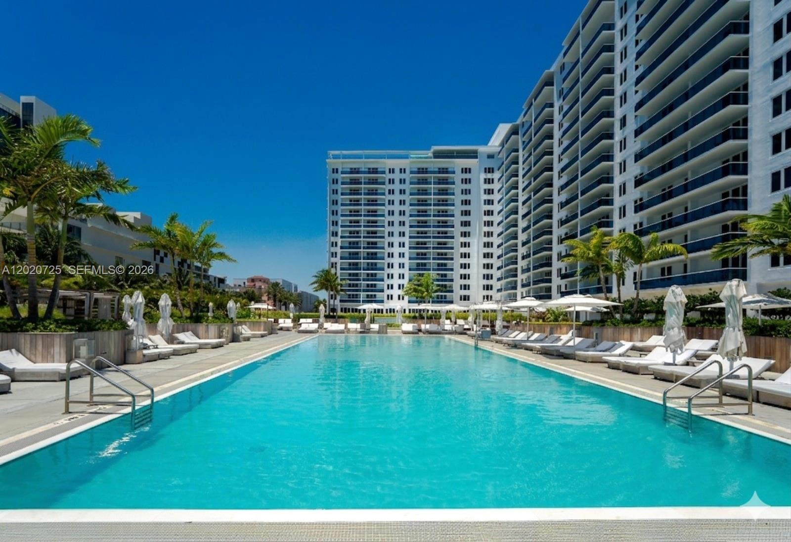 A long rectangular swimming pool is surrounded by lounge chairs and palm trees — 2301 Collins Ave # 804, Miami Beach FL 33139, MIAMI BEACH, FL