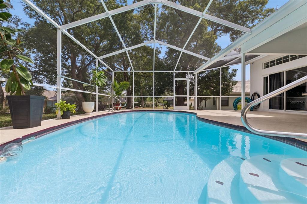 A swimming pool enclosed by a screened lanai with a patio and surrounding trees — 1236 LANSING DRIVE, SPRING HILL, FL