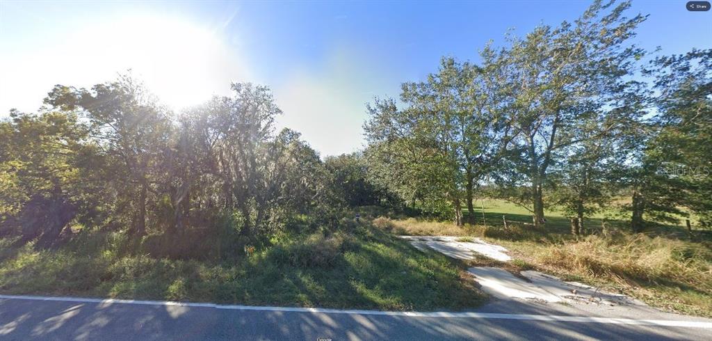 A paved driveway leads from a road into a wooded lot with mature trees — GERBER DAIRY RD, WINTER HAVEN, FL