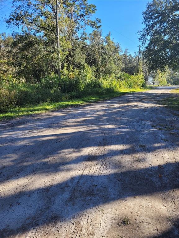 A dirt road leads past a wooded area with tall trees and power lines — MORENA STREET UNIT 5, NEW PORT RICHEY, FL