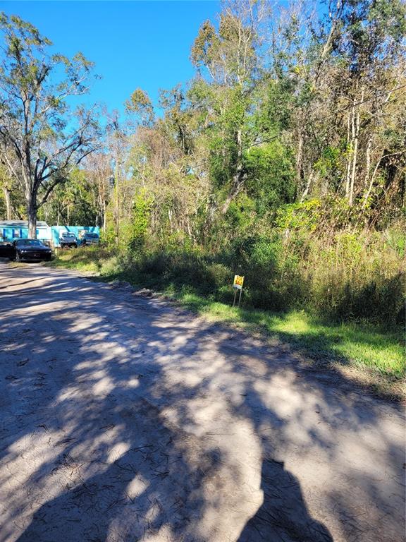 A dirt road runs alongside a wooded, undeveloped lot with a small for-sale sign — MORENA STREET UNIT 5, NEW PORT RICHEY, FL