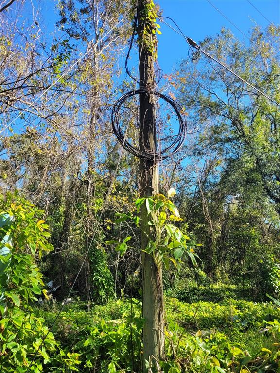 A wooden utility pole stands in a wooded area with a coiled cable attached — MORENA STREET UNIT 5, NEW PORT RICHEY, FL