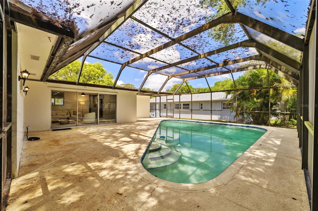 A screened-in patio features a swimming pool with steps and a sliding glass door entrance — 1905 ORO COURT, CLEARWATER, FL