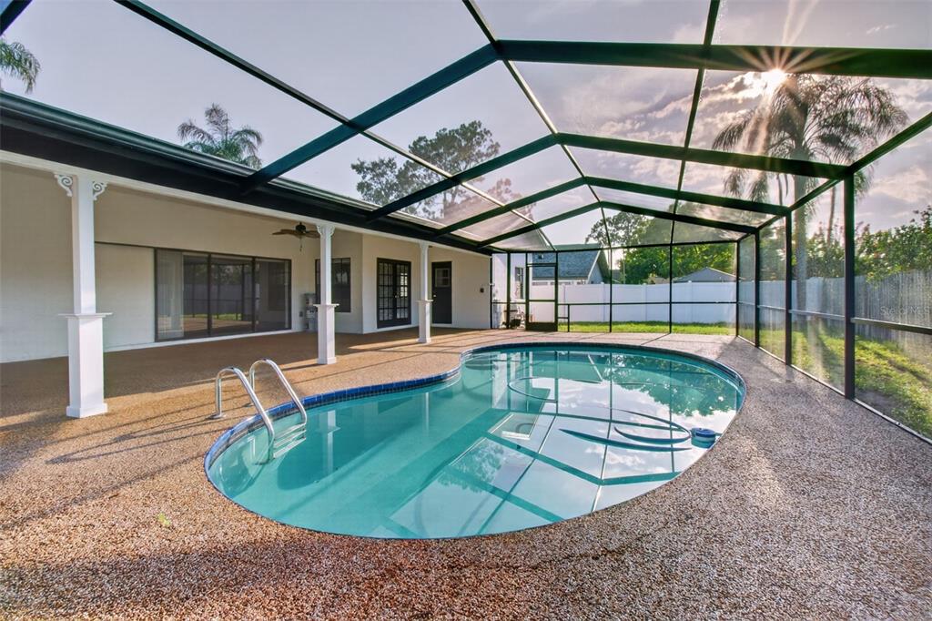 A covered concrete entryway leads to a set of black double doors with glass panels — 2135 VANCE AVENUE, PALM HARBOR, FL