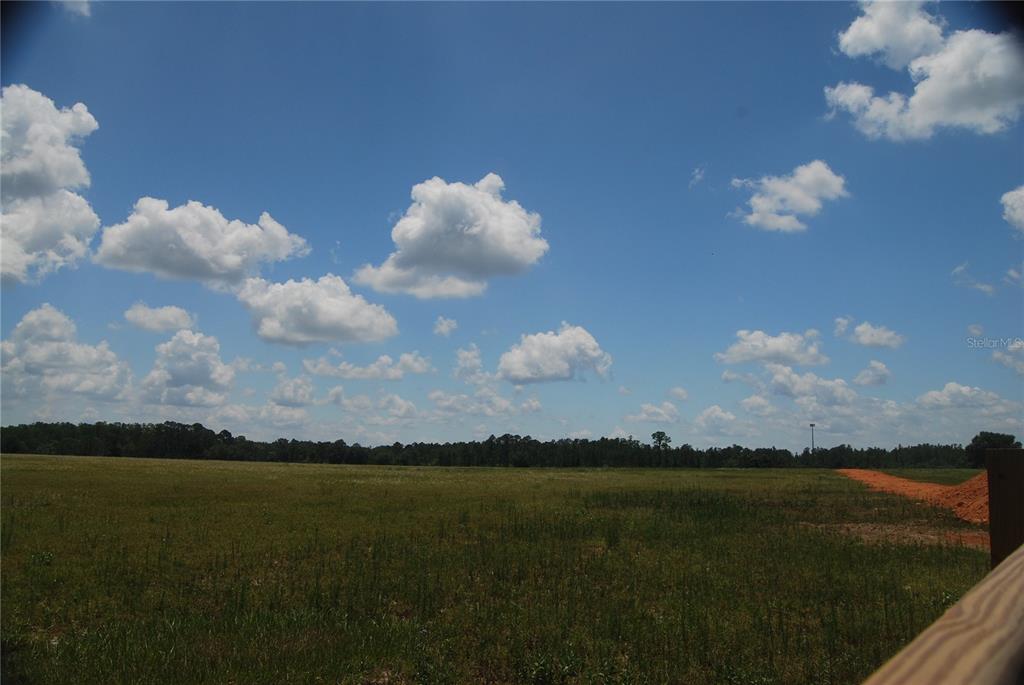 A large, grassy field sits under a bright blue sky with scattered white clouds — LAKE ERIE ROAD, CLERMONT, FL