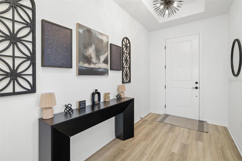 A modern entryway features a black console table, wall art, and a white front door — 17237 SAVORY MIST CIRCLE, BRADENTON, FL