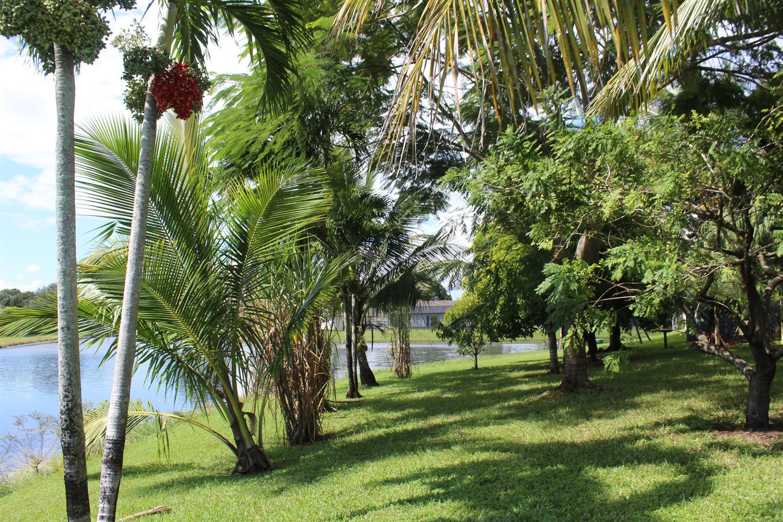 A grassy lawn with palm trees and other foliage overlooks a calm lake — 13847 Geranium Place, Wellington FL 33414, WELLINGTON, FL
