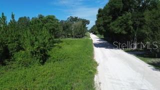 A dirt road runs alongside a grassy, wooded lot under a clear blue sky — SW CARPENTER ROAD W, LAKE CITY, FL