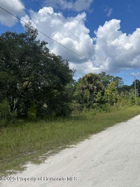 A dirt road runs alongside a grassy lot with trees and a palm tree — 0 0 YELLOW FROG AVENUE, WEEKI WACHEE, FL