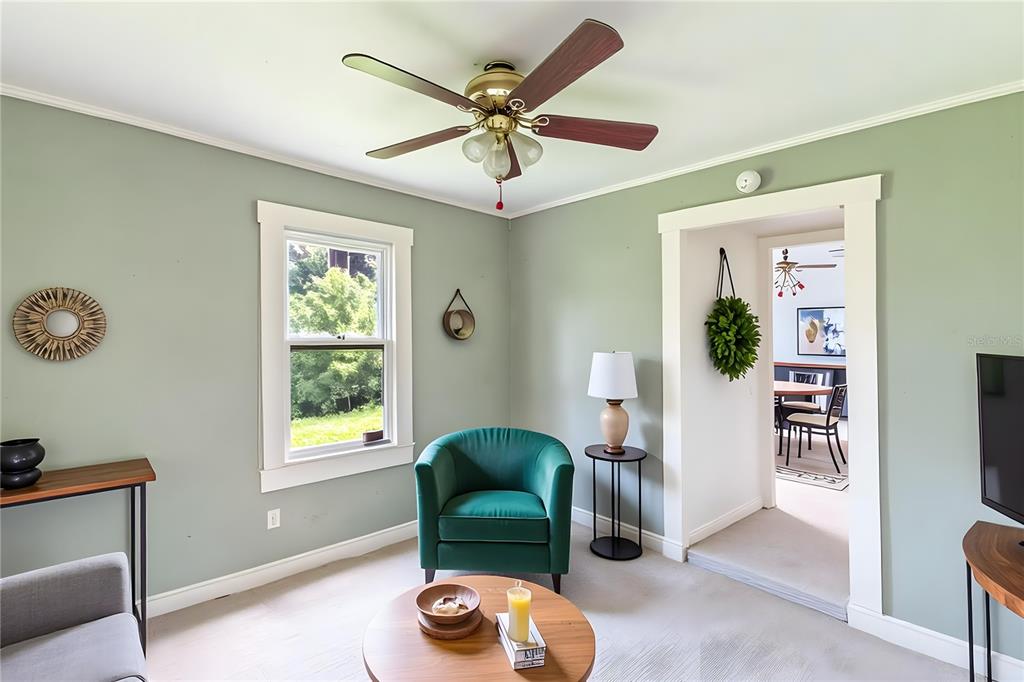 A living room features sage green walls, a green armchair, and a ceiling fan — 6315 RHONDA ROAD, TAMPA, FL