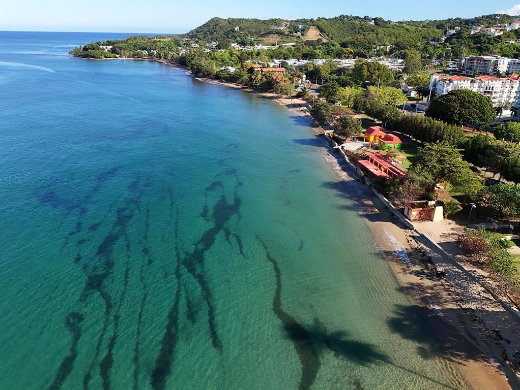 An aerial view of a coastal beach with clear water, palm trees, and nearby buildings — 115 C.CAMBIJA UNIT 4B, RINCON, PR