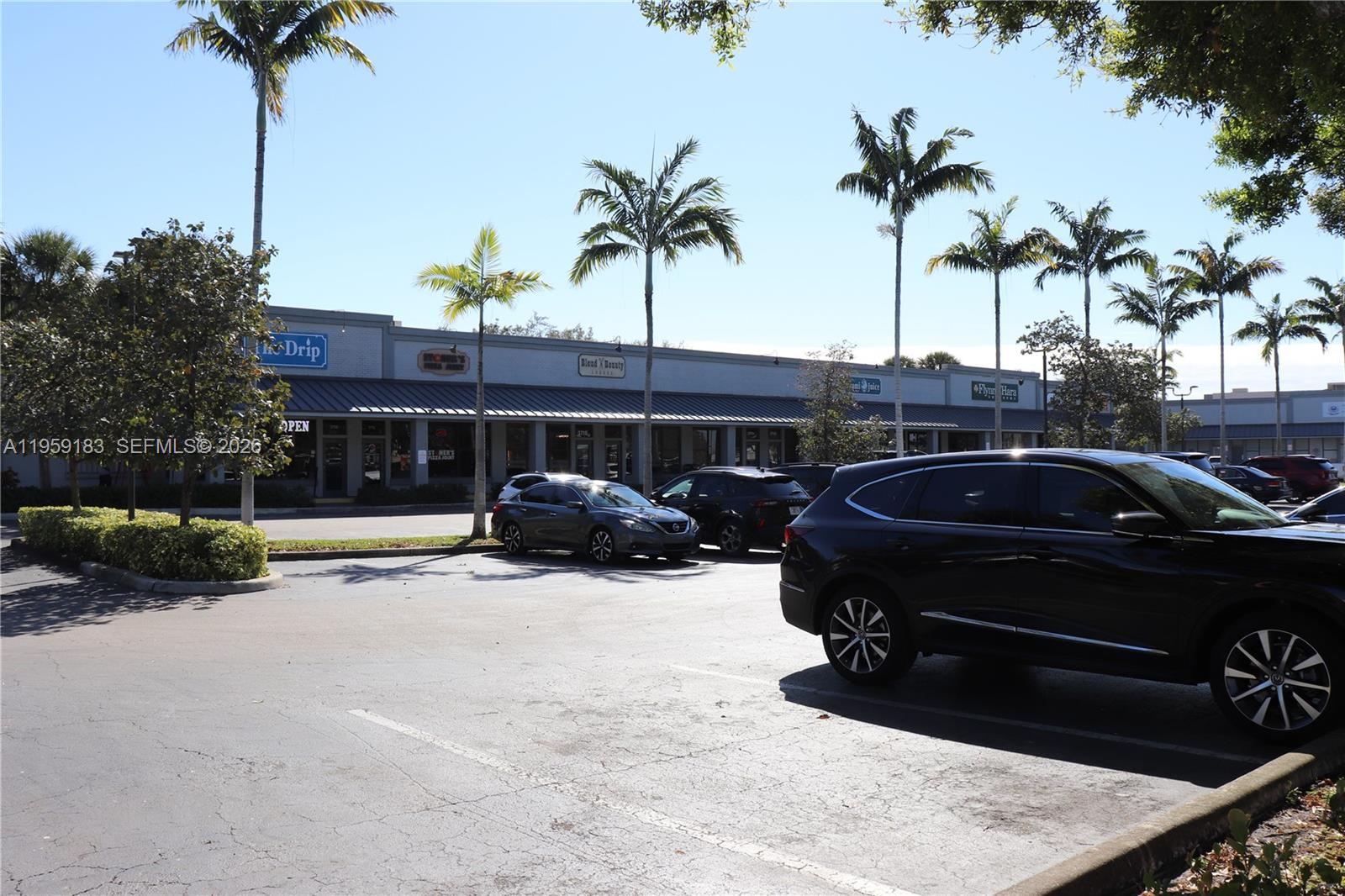 A parking lot sits in front of a single-story commercial strip mall with palm trees — 3724-3728 Davie Rd, Davie FL 33314, DAVIE, FL